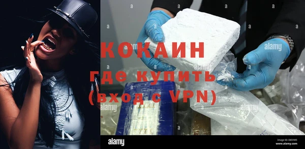 дживик Костерёво