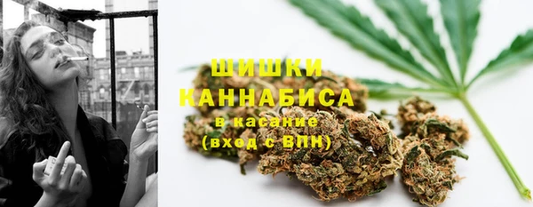 дживик Костерёво