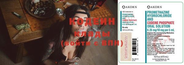 дживик Костерёво
