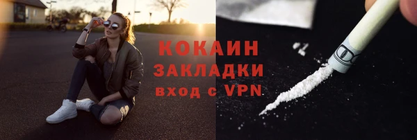 дживик Костерёво