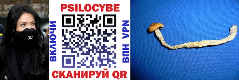 Галлюциногенные грибы MAGIC MUSHROOMS  Купить  Бузулук 